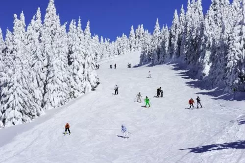 Vikend putovanja - Kopaonik - Hoteli