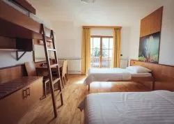 Nova godina 2025 - Mariborsko Pohorje - Hoteli: Hotel Forest Videc 3*