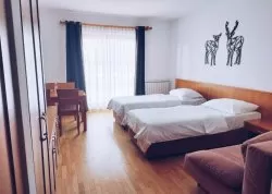 Nova godina 2025 - Mariborsko Pohorje - Hoteli: Hotel Bolfenk Wellness & Spa 4*