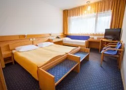 Nova godina 2025 - Kranjska Gora - Hoteli: Hotel Špik 3*