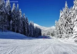 Nova godina 2025 - Bansko - Hoteli: Ski staza