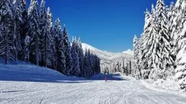 Bansko: Ski staza