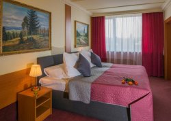 Nova godina 2025 - Prag - Hoteli: Hotel Top 4*